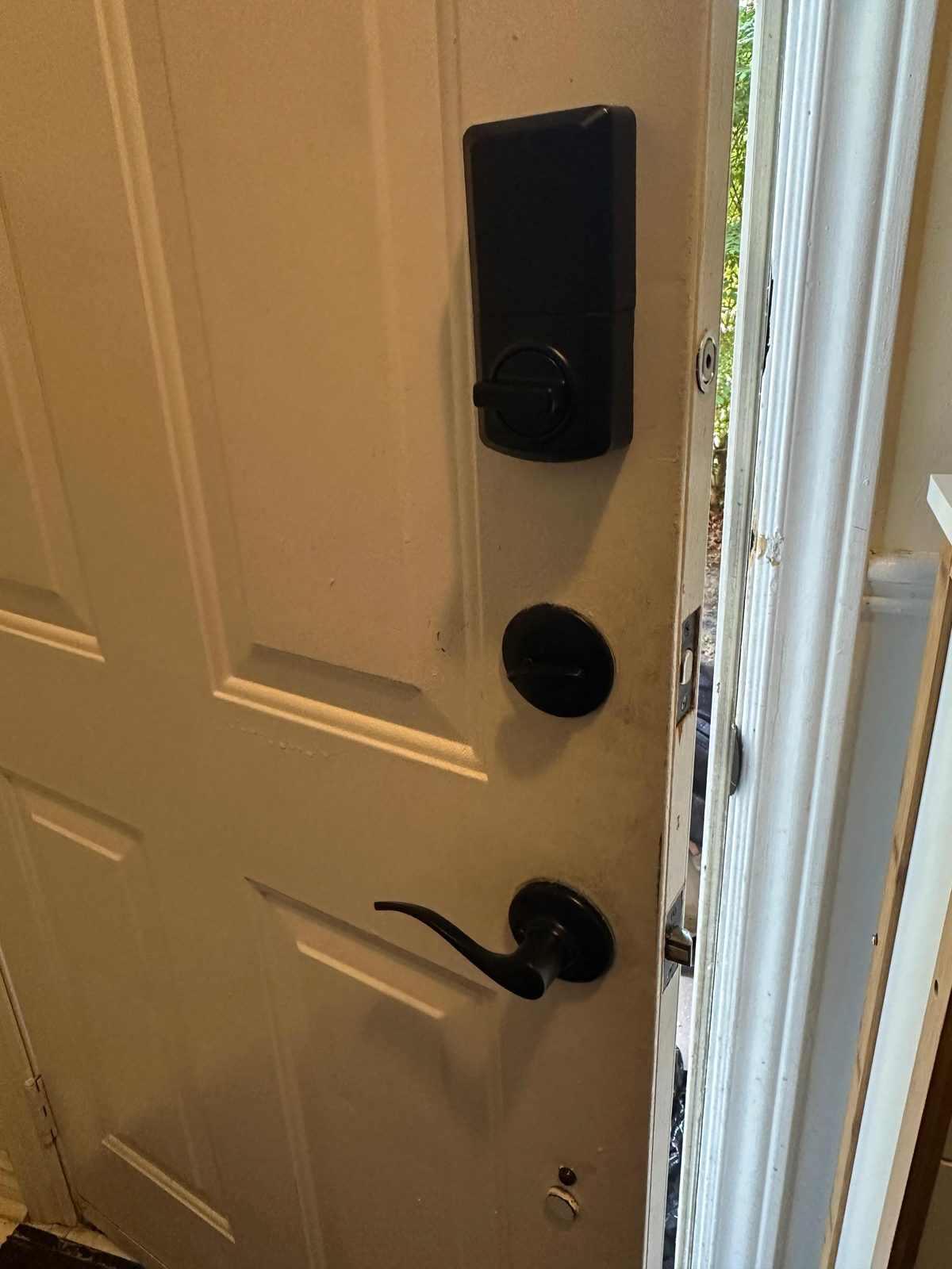 Black smart deadbolt and lever on a white panel door